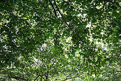 《乐高星球大战：天行者传奇》进厂压盘 4月5日正式发售